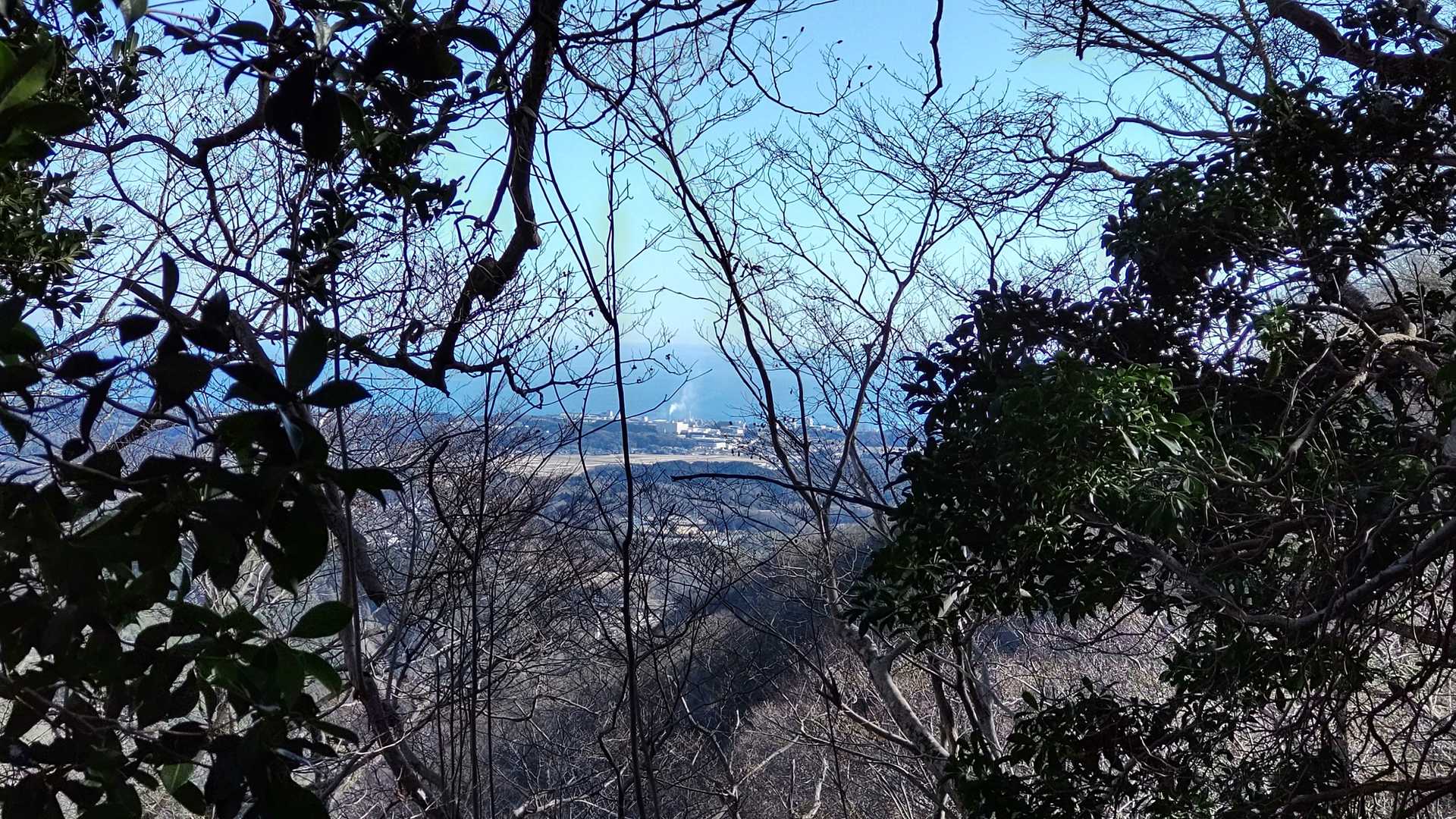 海が見える