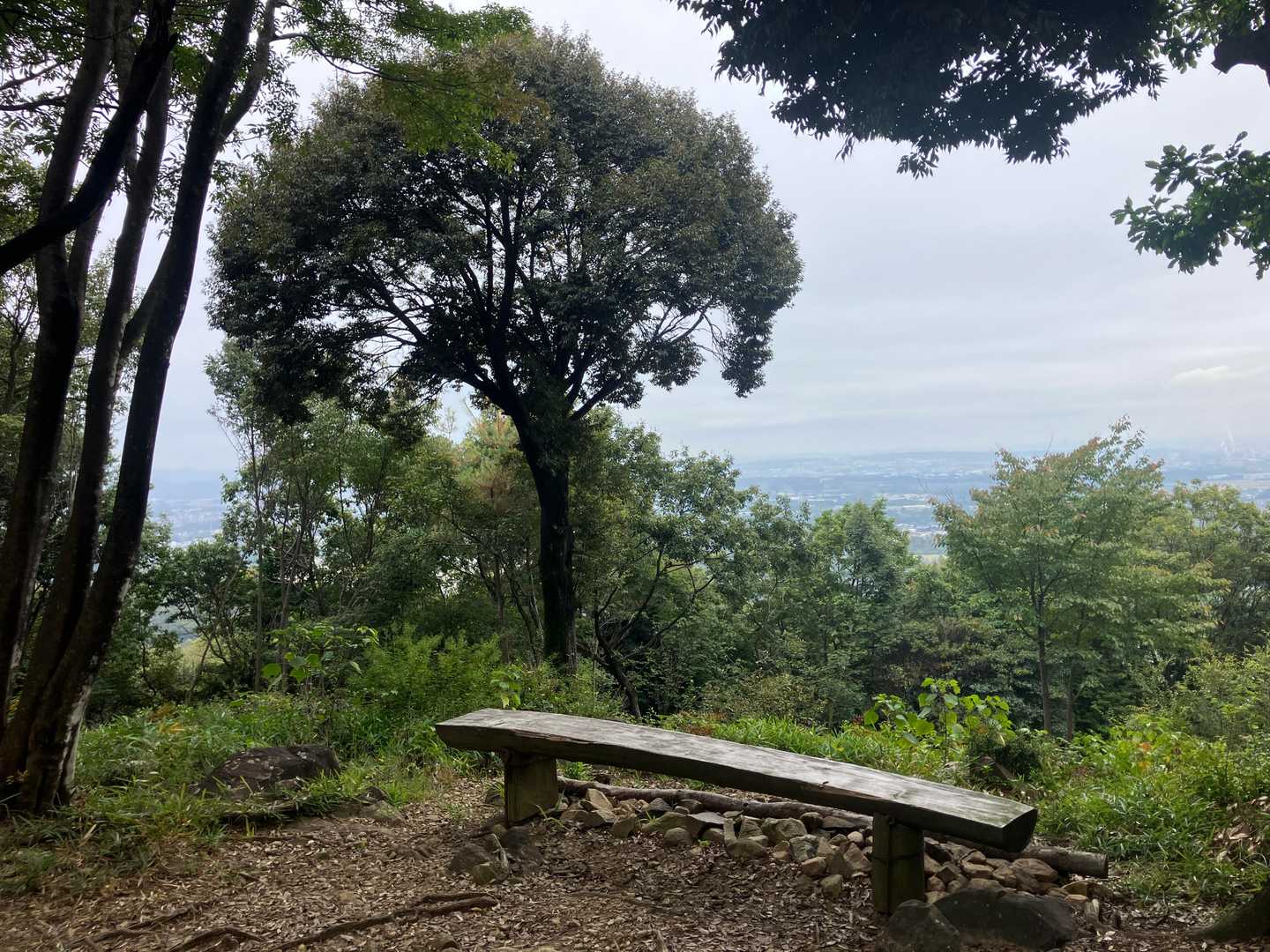 本堂ヶ峰手前のベンチ