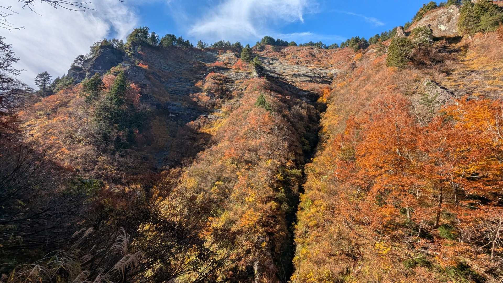 井戸小屋山 周回コースの写真