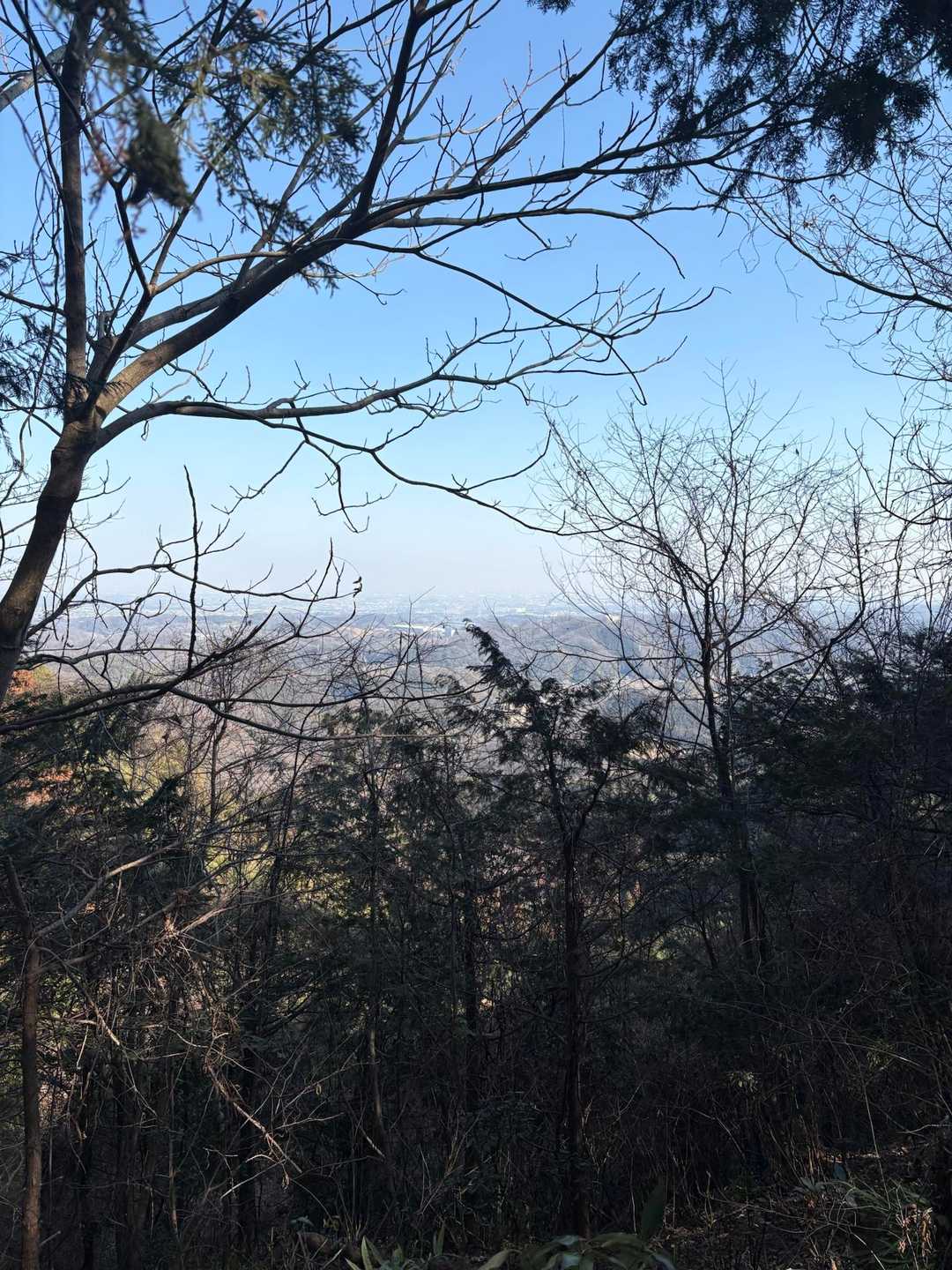 官ノ倉山-烏森山-臼入山 往復コースの写真