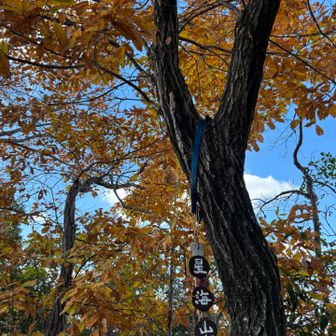 星海山も名前がステキすぎ