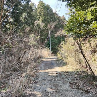 舗装と無舗装が交互に現れる
そんなに荒れてないので🚙走行は問題ないかも？