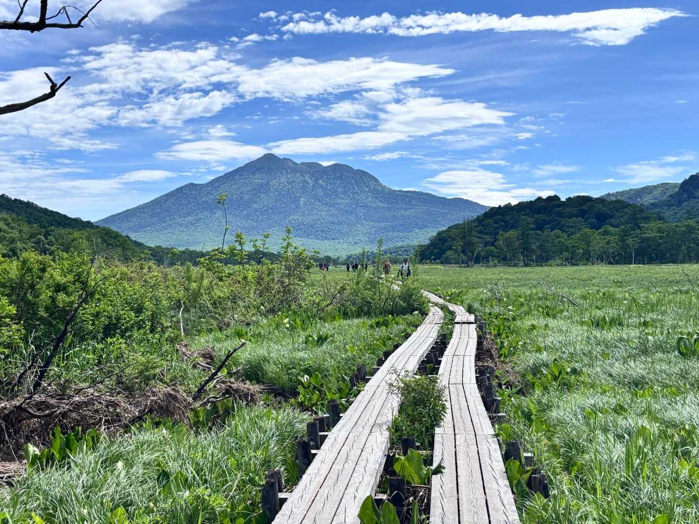 鳩待峠 往復コースの写真