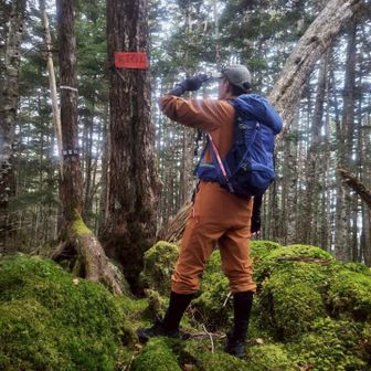 SIM ∞ (χ活動休止中) 