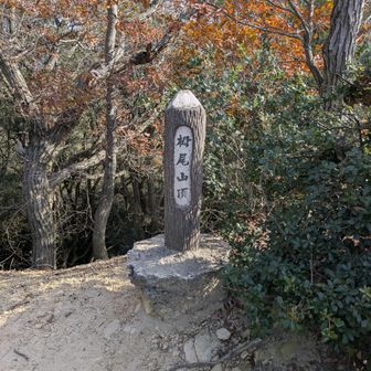 住宅地を抜けて