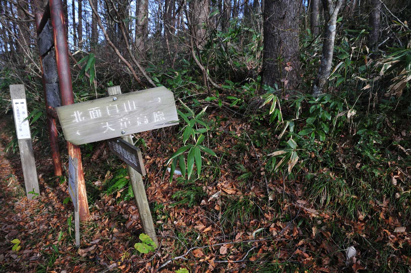 北面白山へ
