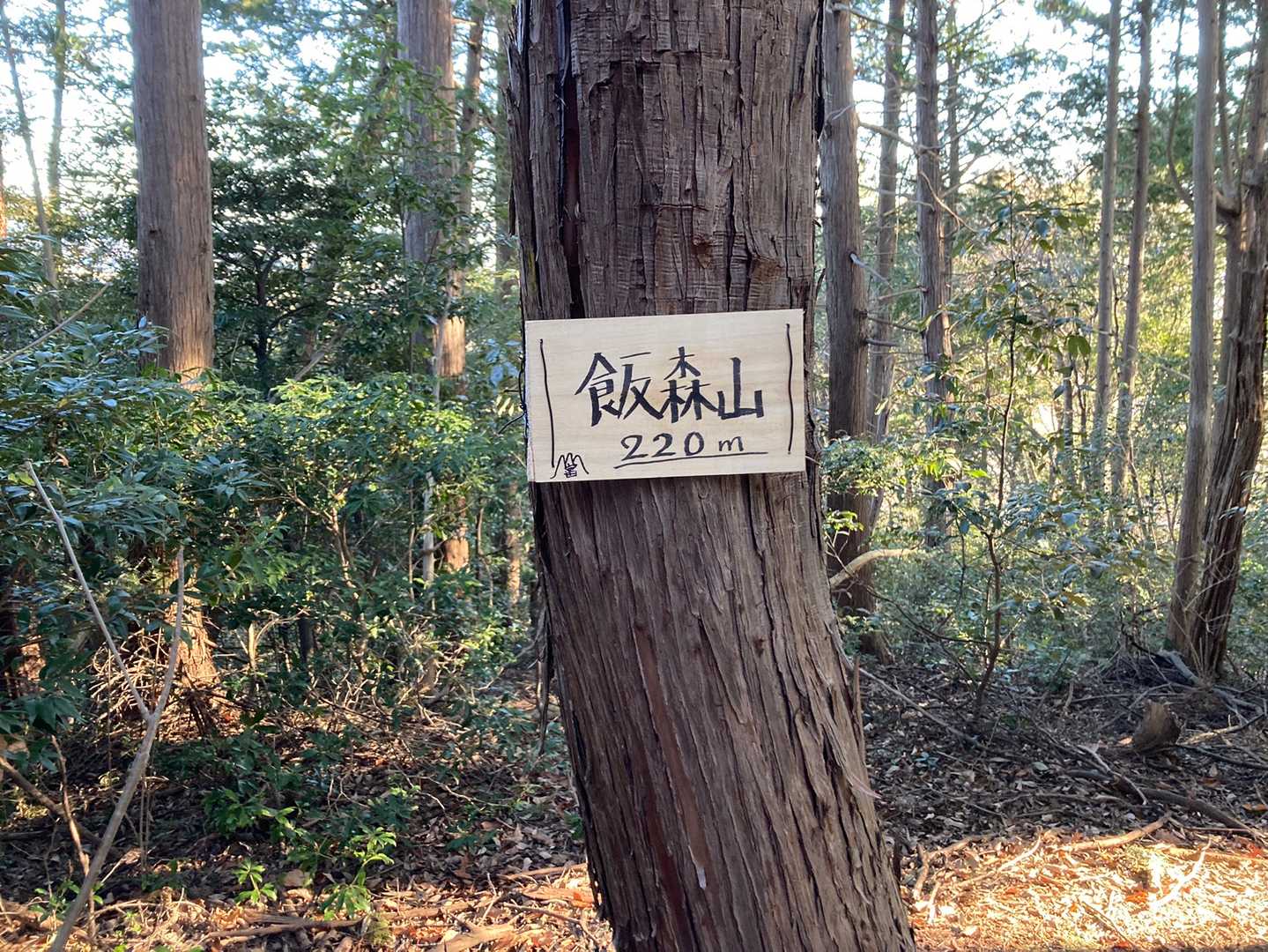 まずピストンで飯森山。
常緑樹で覆われた展望なしのピーク。
樹林越しにゴルフプレイヤー達と目が合いそうなくらいに近い！