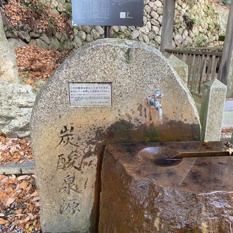 飲めるって書いてたから
ちょっと口に含んでみたら激まずーー🤮
炭酸感じられず変な味
近くにいた外国人の方が？？って顔してたので「まずい😢」って教えたら「まずい！？」「好きじゃない？？」って聞いてきて面白かった🤣日本語よく分かってる笑