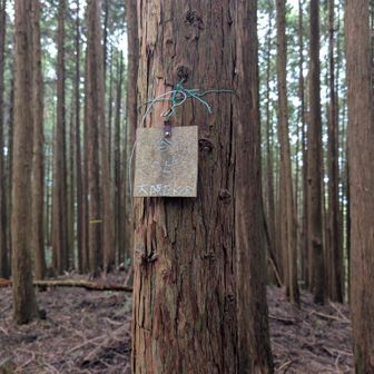 野谷ノ峰。