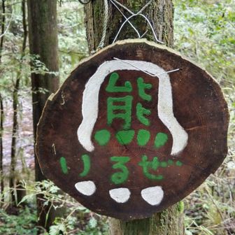 なか