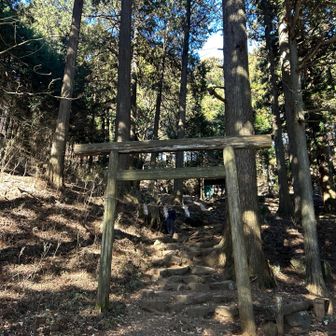 ここからちょっと急登