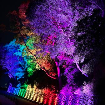 石畳階段の下り地獄で皆んなヘロヘロ