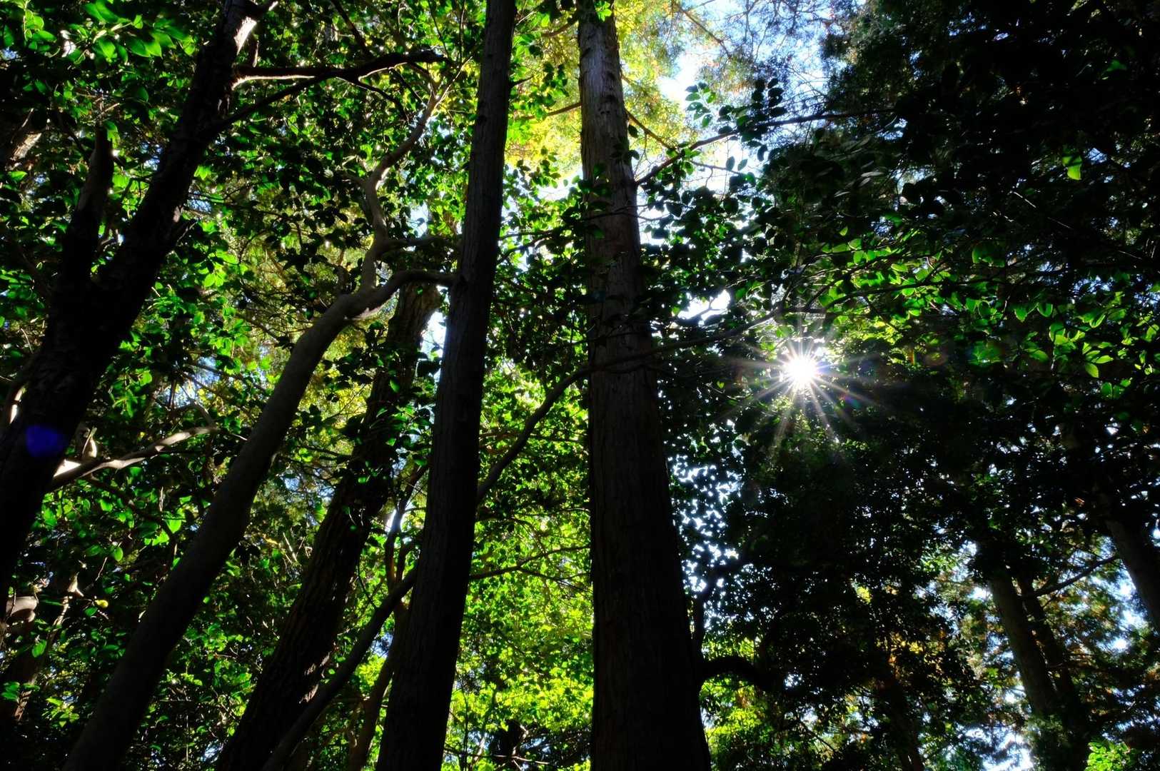 太陽パワー☀️とキムタクパワーに元気をもらいながら。
この日の朝はキムタクが岐阜信長まつりで大騒ぎというニュースばかりでした。
「皆の者、出陣じゃ‼️」と馬に乗って叫ぶキムタク見たかった！

そのニュースを見たから、キツい急登や怖いやせ尾根を進む時、キムタクパワー‼️と言いながら進みました(笑)
単純🤣🤣