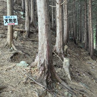 眺めよし天狗岩へ。