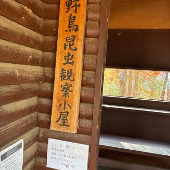 素敵な観察小屋です！