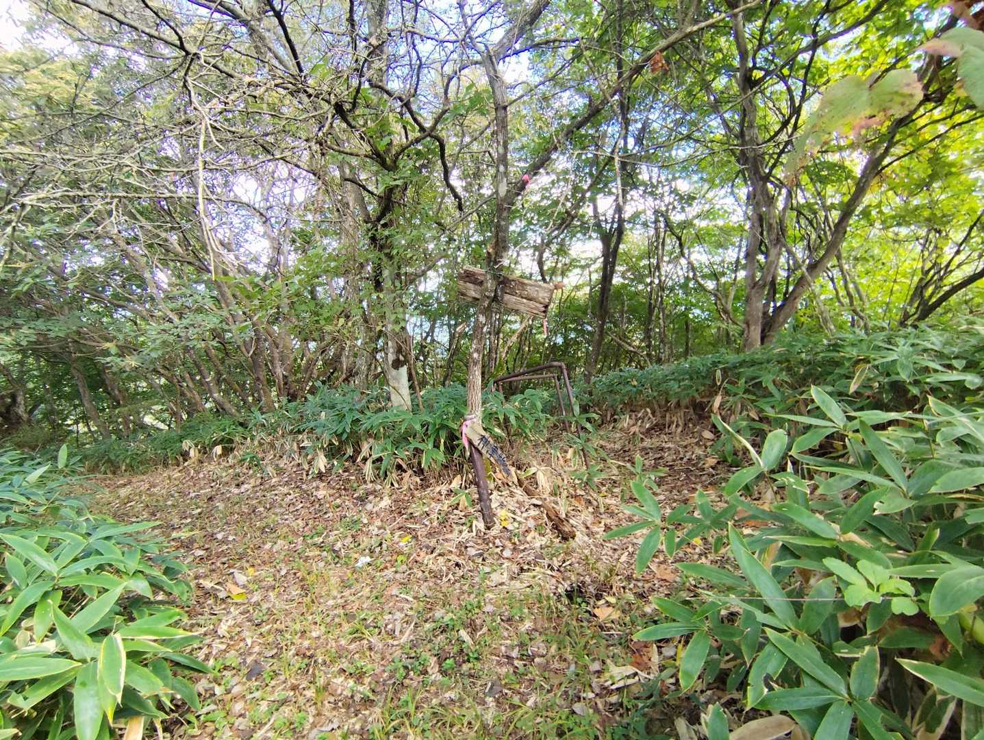 右へ下ると神津牧場方面
帰路はここに登って来ます…
分岐は左へ