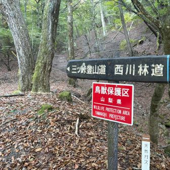 三ッ峠⛰️
ここから▶️