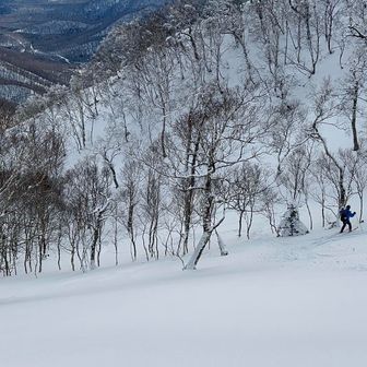 ピッカリさんスキーで⛷
かっこいい😎