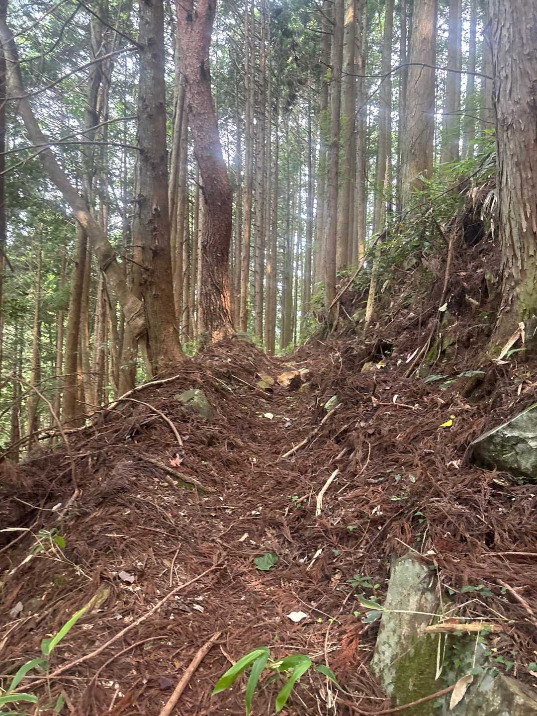 登山口から随分歩きましたが良く整備されています。ありがとうございます😊
こう言う山が里キン対象に相応しい⛰️ですね😃