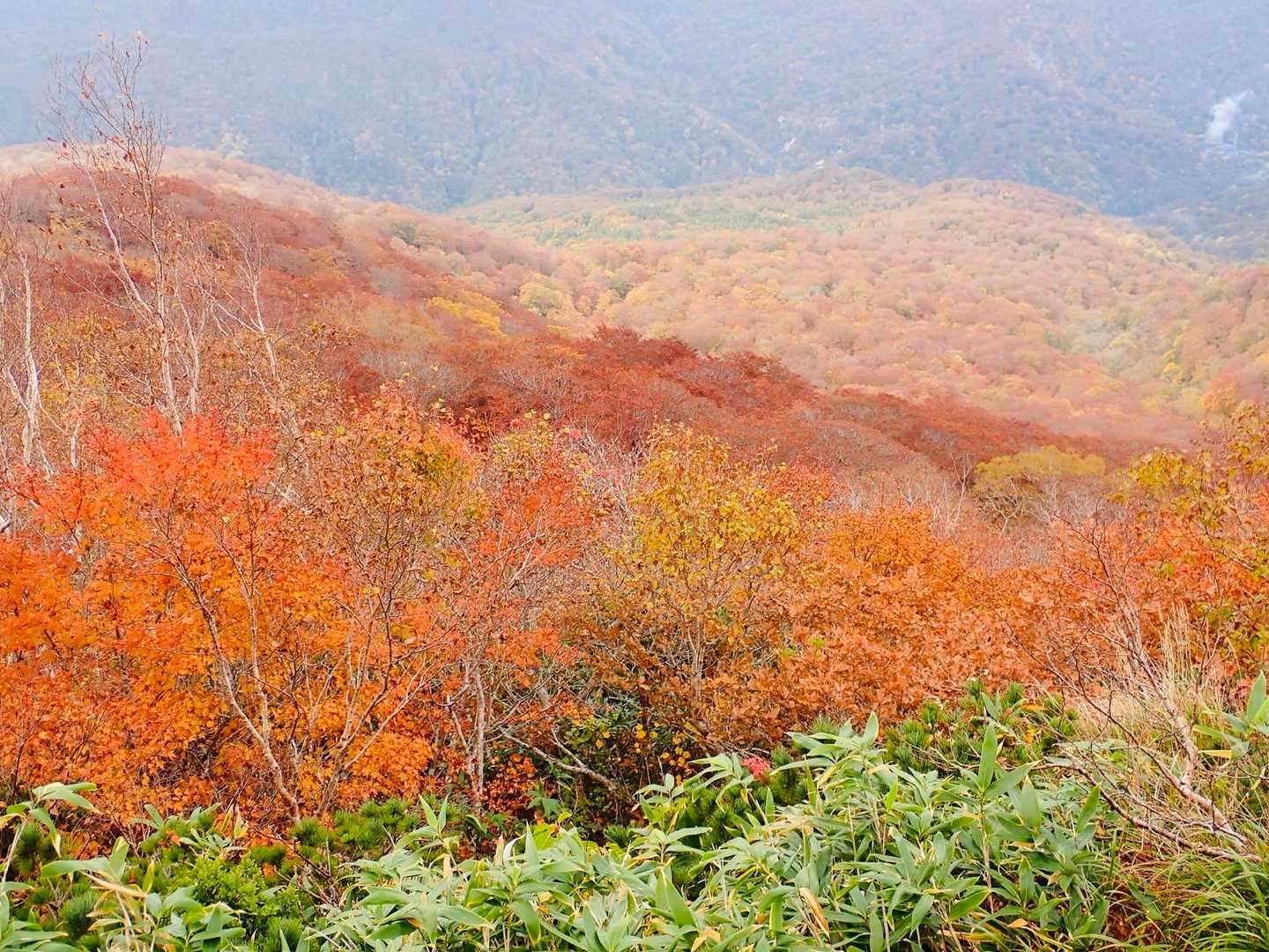 見下げると山肌は赤い