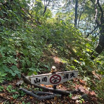 この最近は道が消失。