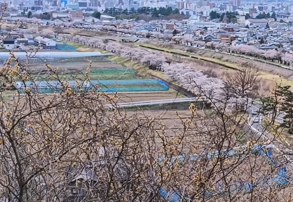金華山（長野・846m）| 登山ルート・天気 | YAMAP / ヤマップ