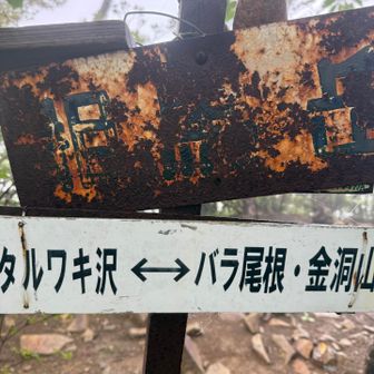 妙義山の頂上相馬岳