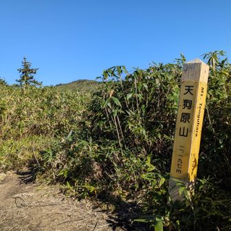 天狗原山山頂！