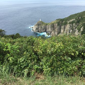 アンフォルタス