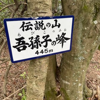 我孫子の峰登頂
この辺りから低山特有の、分岐ありすぎ問題発生😩
何度もGPS確認しました