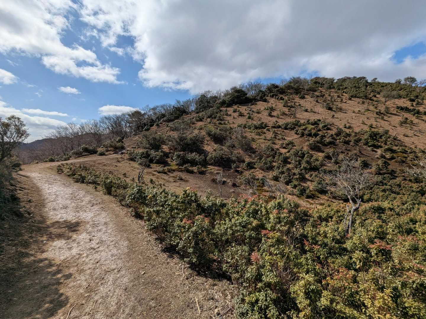 三方山-小倉山-養老山-北尾根P826峰 周回コースの写真