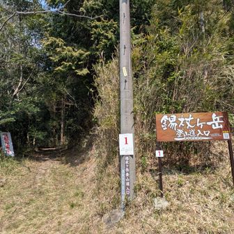 いったん下山
車道歩いて、また山に入って、柚之木峠まで登り返します
🏃💦