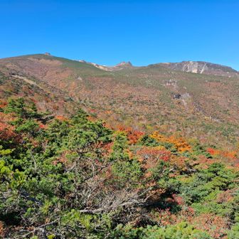 薬師岳展望台から山頂