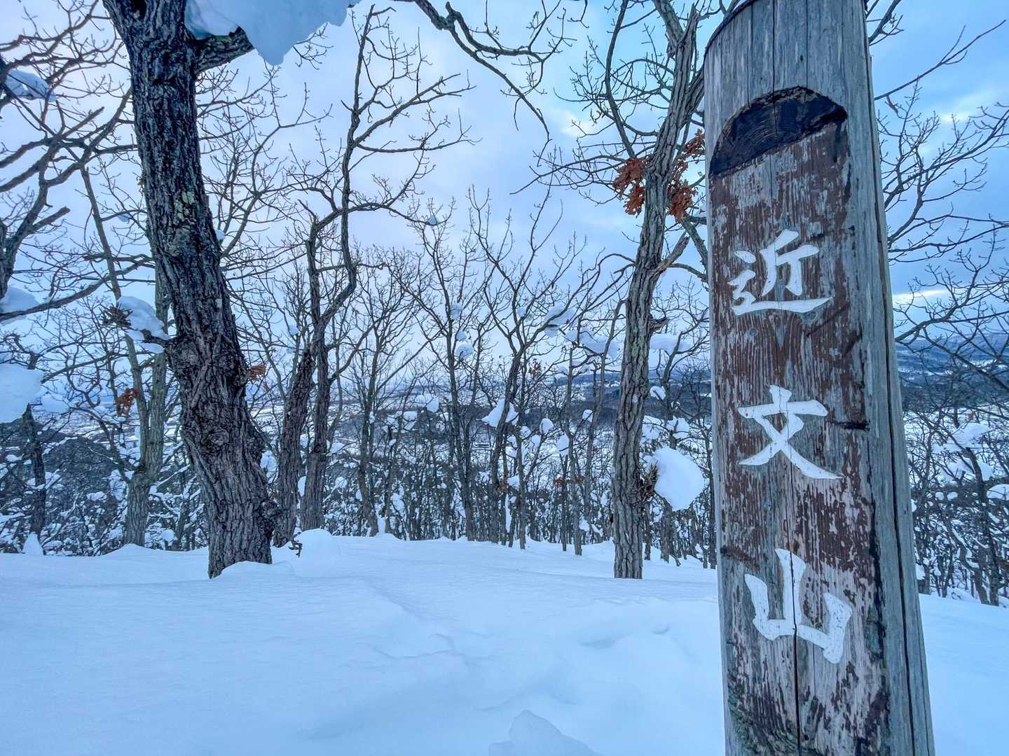 嵐山-近文山 往復コースの写真