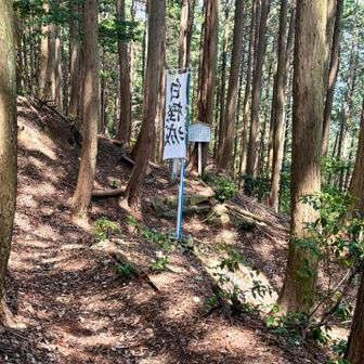 白樫城址まで戻りました。