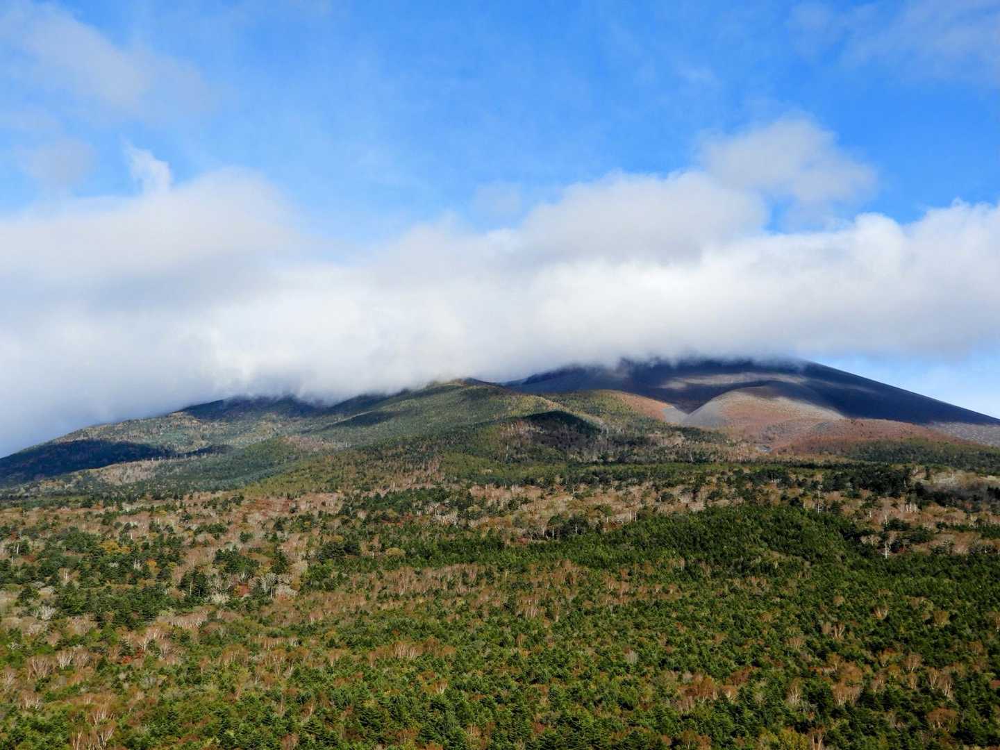 富士山頂は雲の中☁️