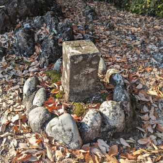 前一色山（八幡山）！の三角点！
標識はなし！