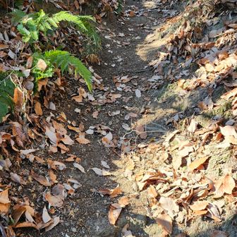 綺麗になりました。