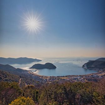 坂越茶臼山城跡からの眺望
天然記念物の生島