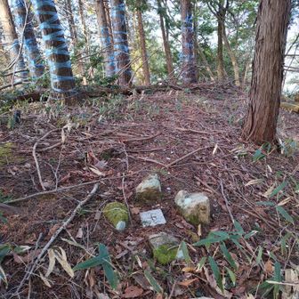 北小松原（四等三角点）到着