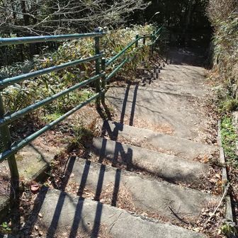 油こぶしルートへ