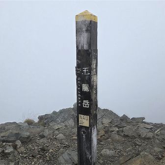 やったー、登頂だ！！