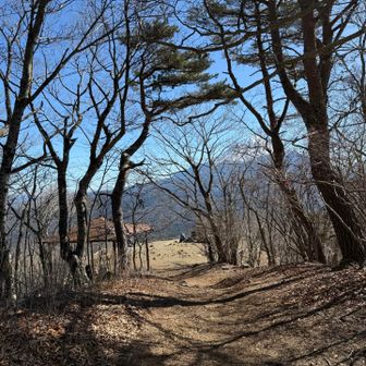 ついちゃった🤩