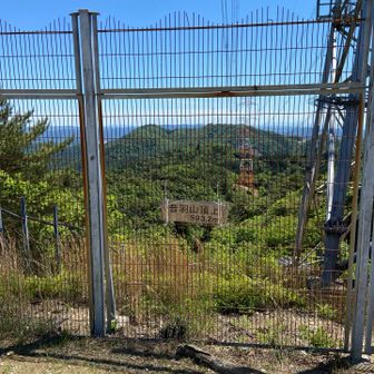 音羽山山頂、593.2m