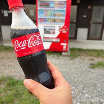 コーラで糖分補給。
