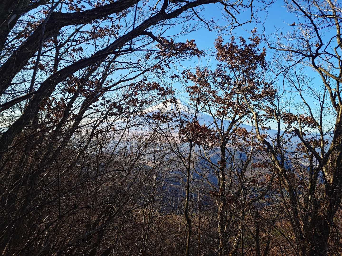 スキマ富士🗻