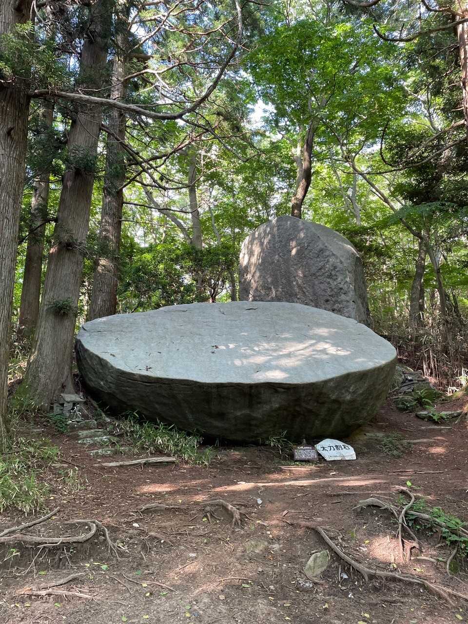 竪破山の写真