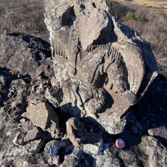 天狗の石像，壊れてます