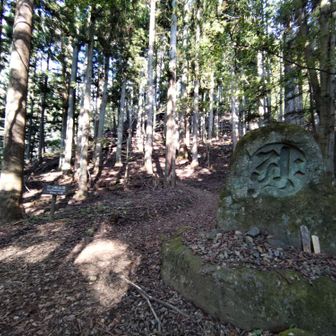 達磨石。登山口からちょっとだけ登ったところにあります。ここから本格的な登山道となりますよ。