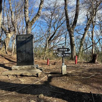 月居山に到着。「つきおれさん」と読む。
